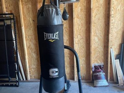 Everlast Boxing Bag