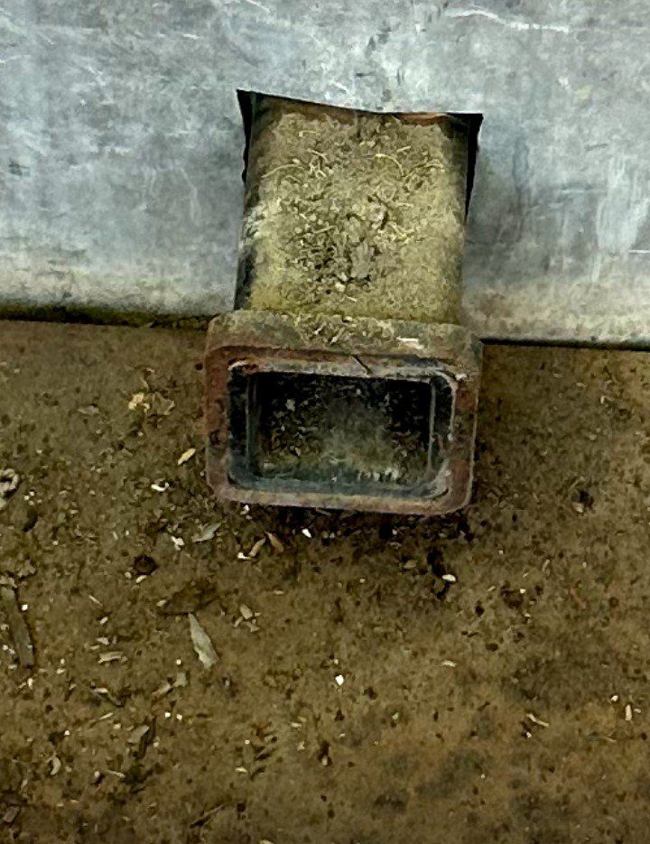 Main image 6