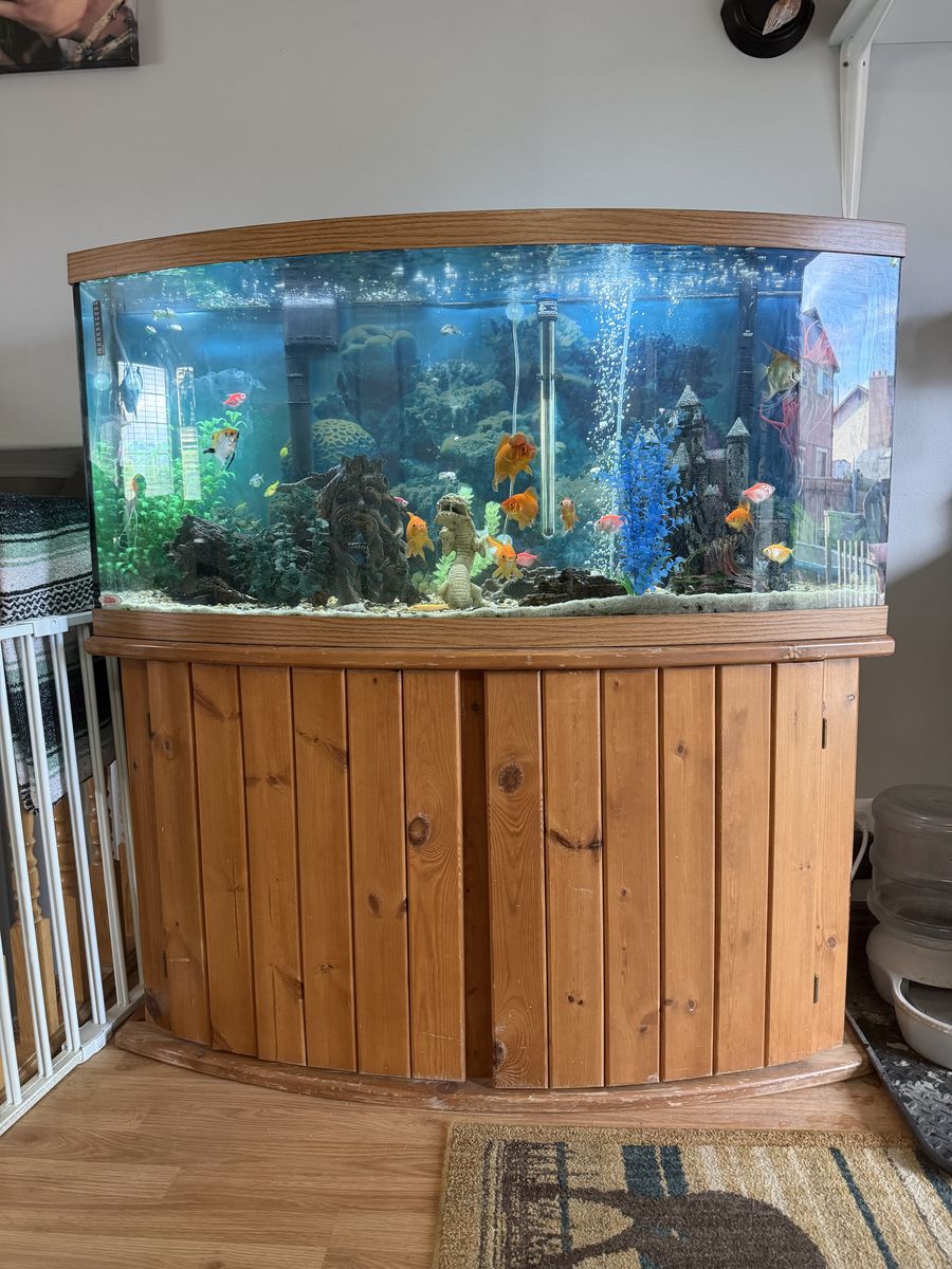70 gallon fish tank
