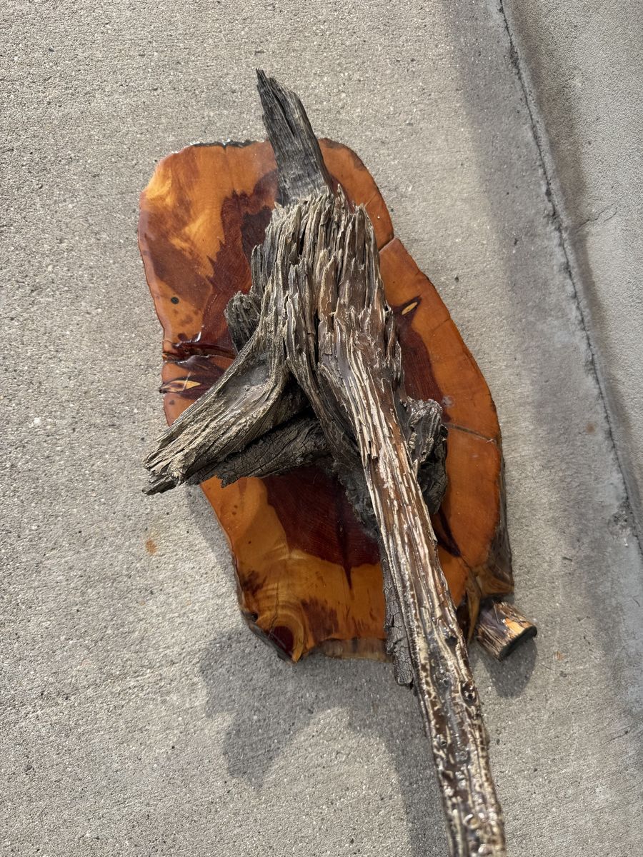 Rustic Natural Driftwood Sculpture Mounted on Finished Wood Slab Base