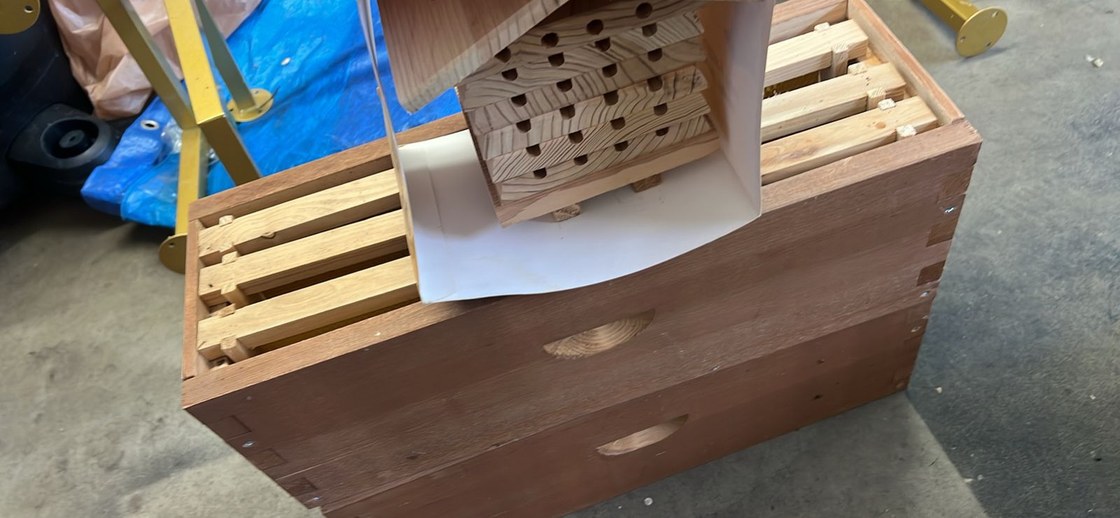 3 beehive starter kits