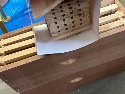 3 beehive starter kits