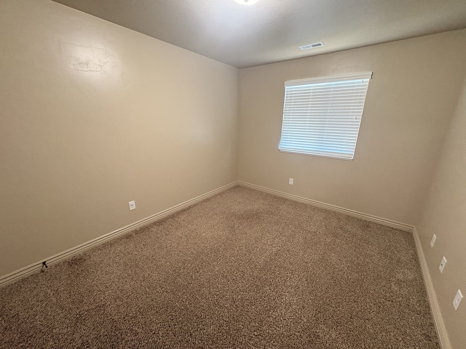Main image 6