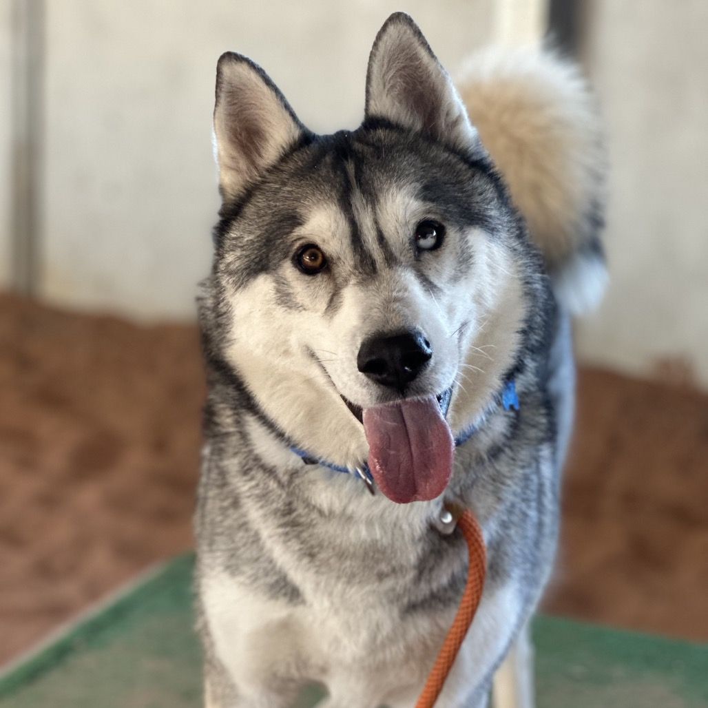 Hello my name is Cecil