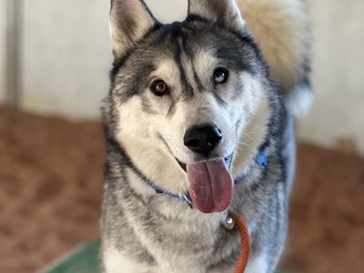 Hello my name is Cecil