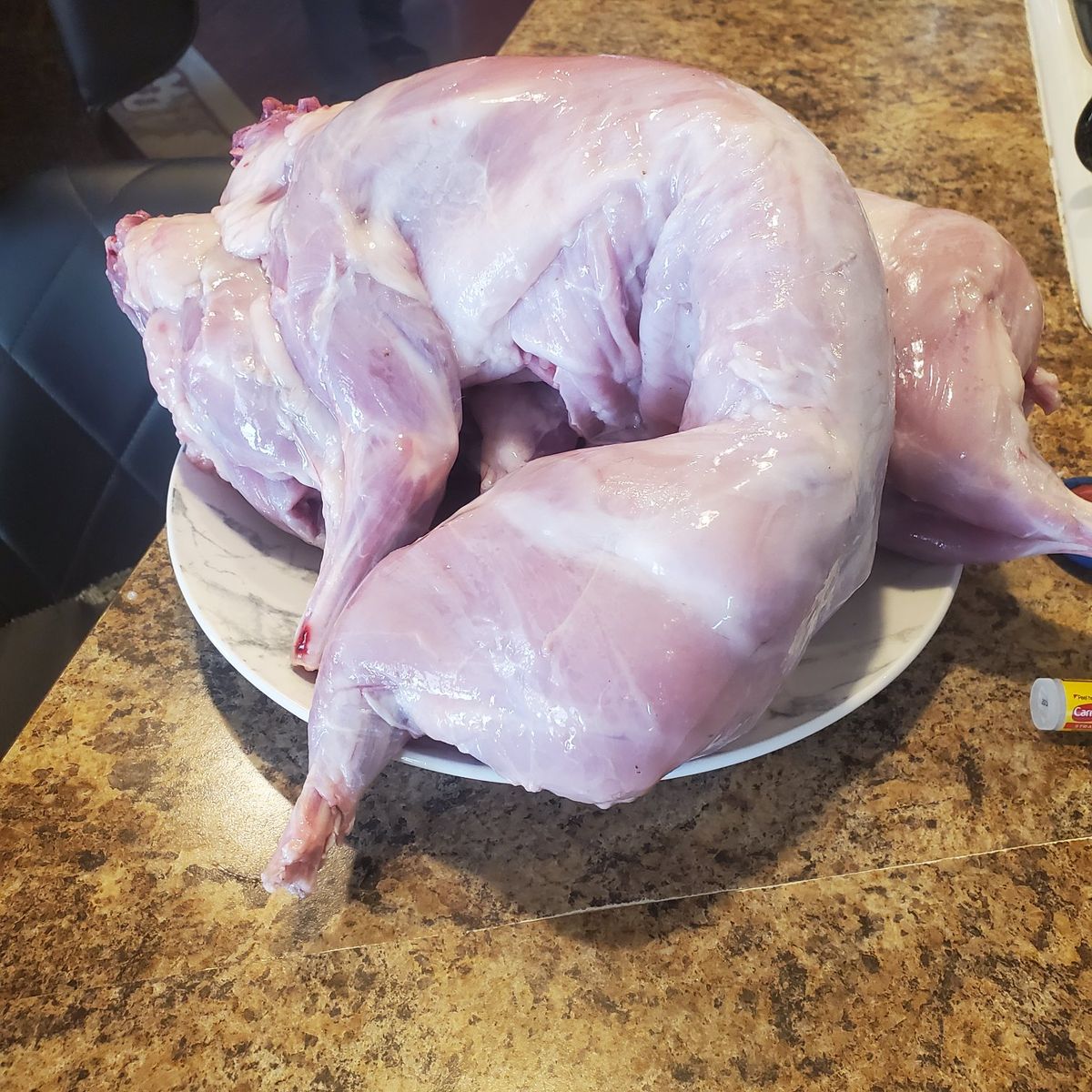 rabbit meat