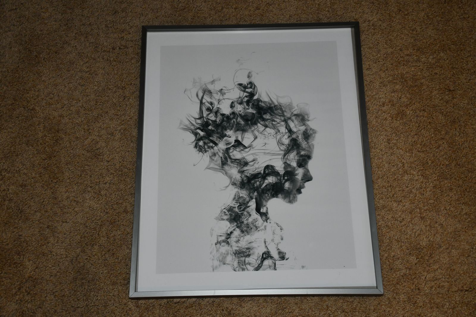BEAUTIFUL, UNIQUE "DISSOLVE ME" PICTURE ~ 16" x 20" FRAMED ~ DANIEL TAYLOR ~ BRUSHED SILVER FRAME