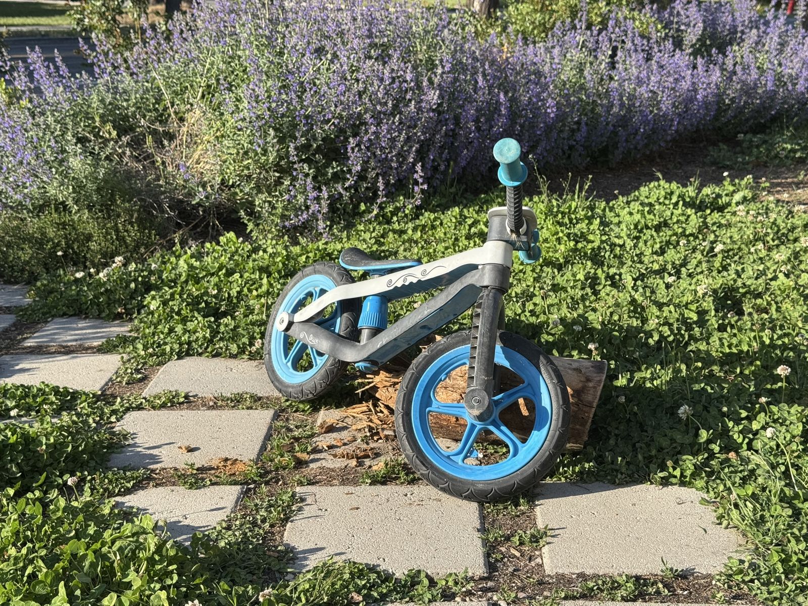 An excellent little kid Starter Bike