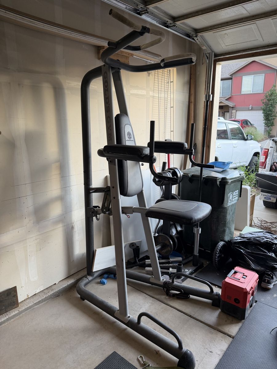 Gold's Gym Platinum Assisted Pull-Up & Dip Machine - Multi-Function Home Gym