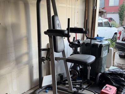 Gold's Gym Platinum Assisted Pull-Up & Dip Machine - Multi-Function Home Gym