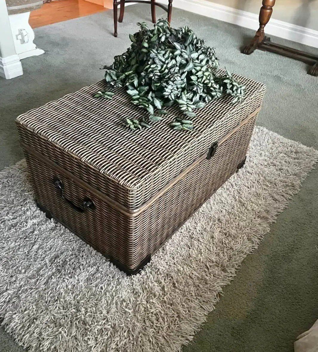 Woven Wicker Storage Chest Trunk