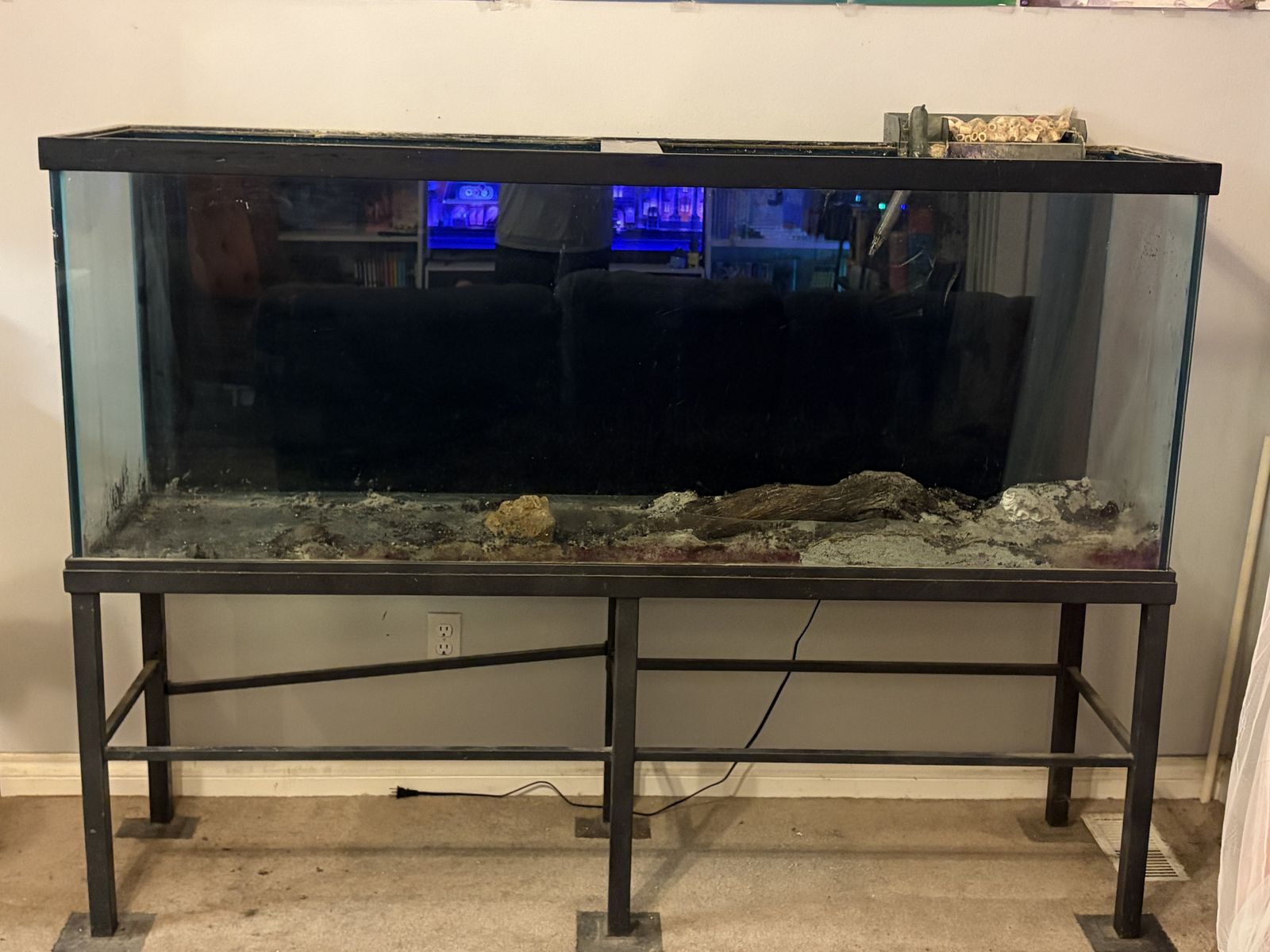 FREE 120 gallon fish tank with stand