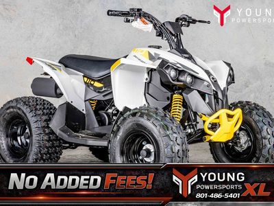 2026 Can-Am® Renegade 110 EFI