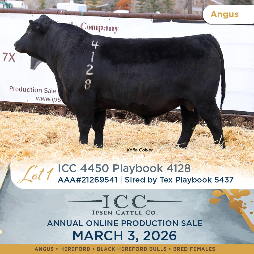 Ipsen Cattle Online Production Sale March 3rd 2026
