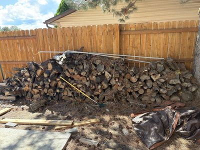 Campfire wood