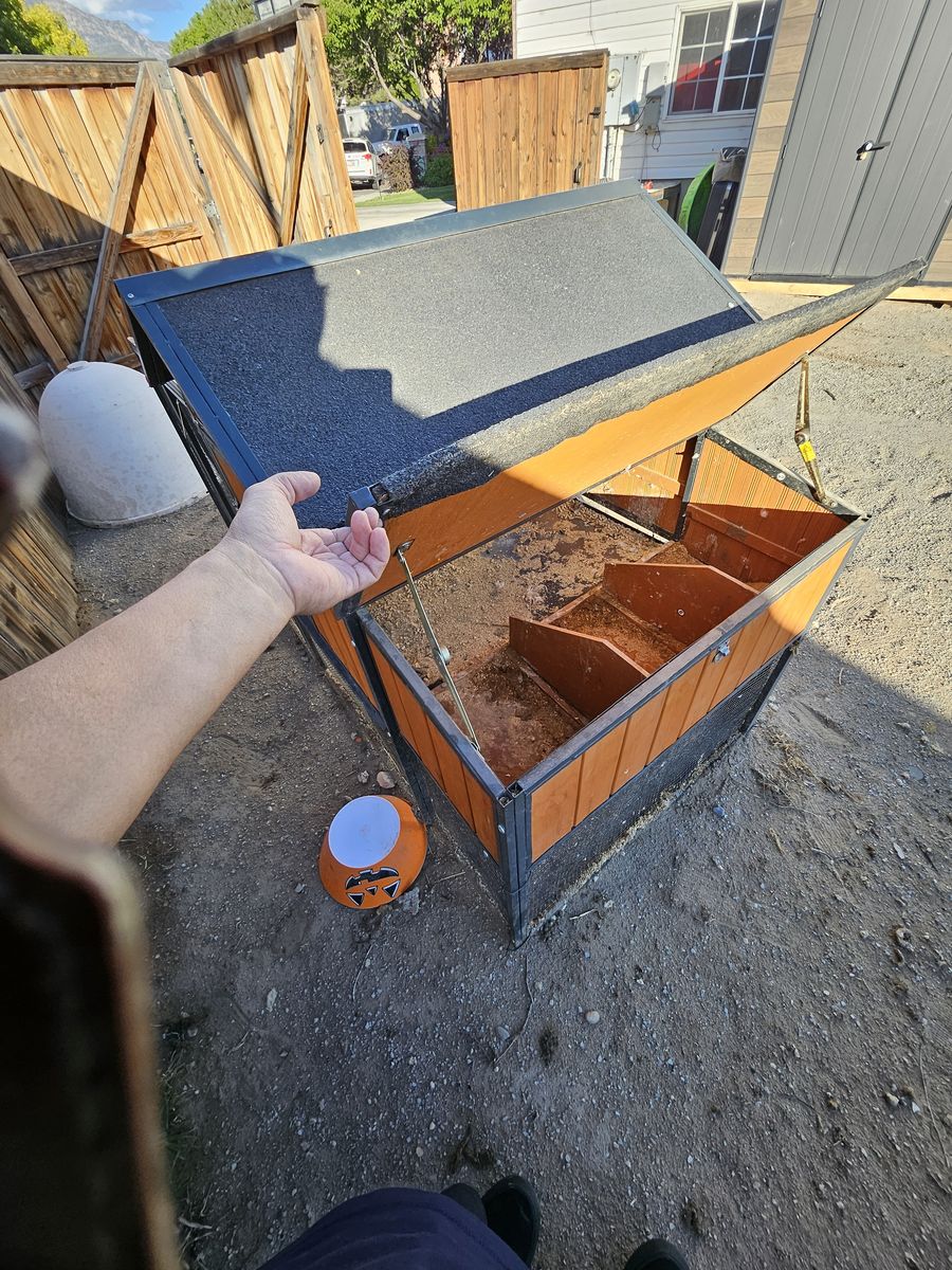 Main image 5
