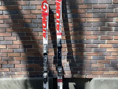 Atomic GS/SL Skis