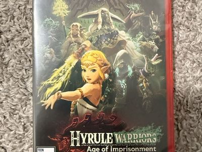New Hyrule warriors: age of imprisonment
