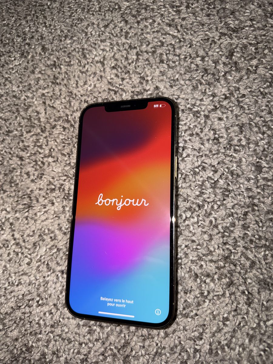 iPhone 12 Pro Max 256 gb