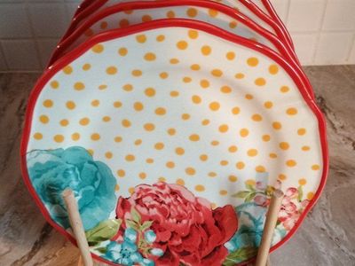 Pioneer Woman Set of Four