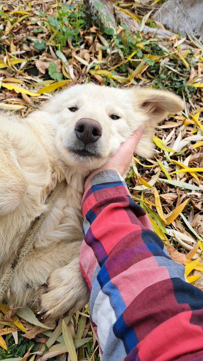 Main image 5