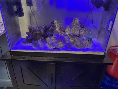 20 Gallon Tall Salt Water Tank