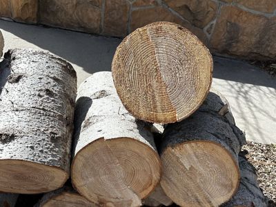 Firewood rounds