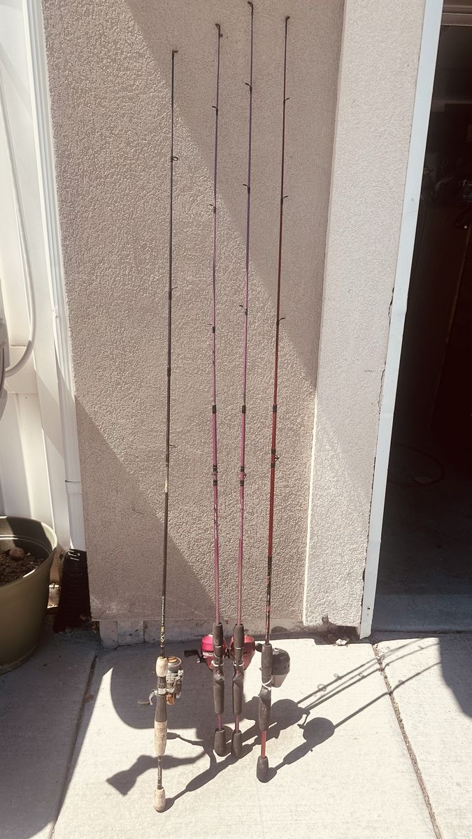 Assorted Fishing Rods and Reels