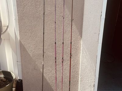Assorted Fishing Rods and Reels