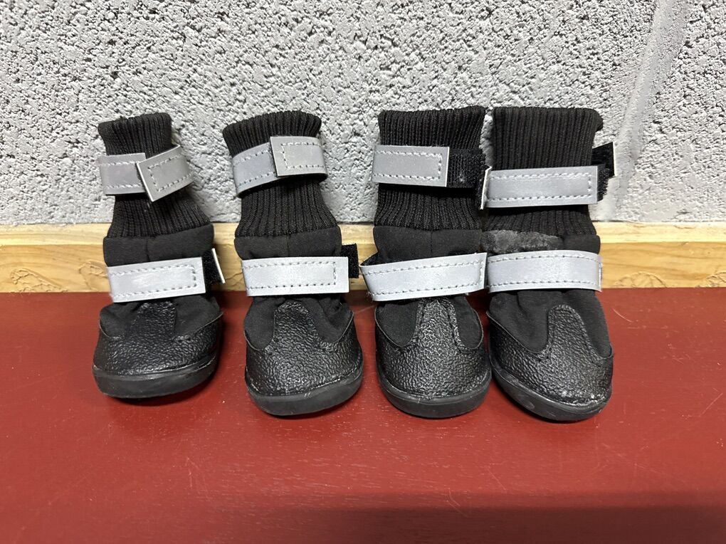 Dog booties Small