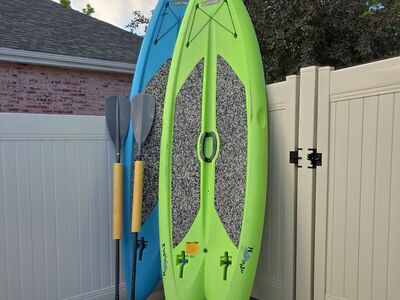 Paddleboards for Rent (SUPs)