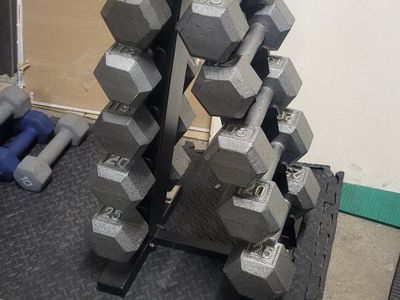 Dumbbells 164 pounds
