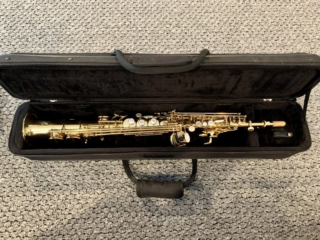 Pro Tec Soprano Sax Saxophone case
