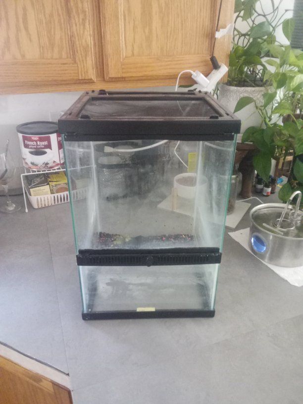 Vertical Glass Terrarium/Aquarium (No Brand) - Used Condition