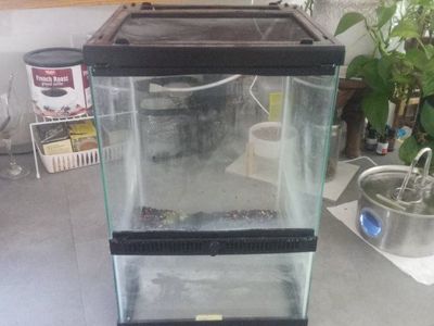 Vertical Glass Terrarium/Aquarium (No Brand) - Used Condition