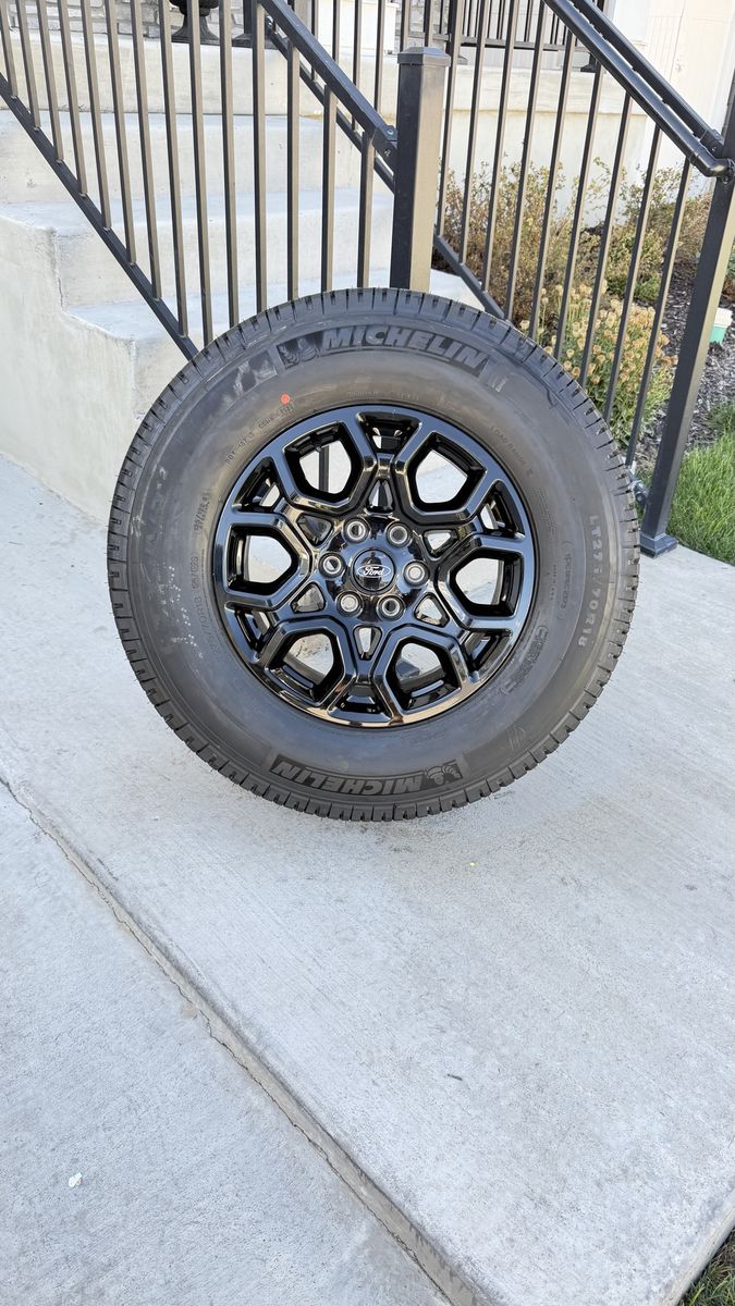 Ford F150 Rims and Tires 275/70R18 Michelin LTX AT2 Load E
