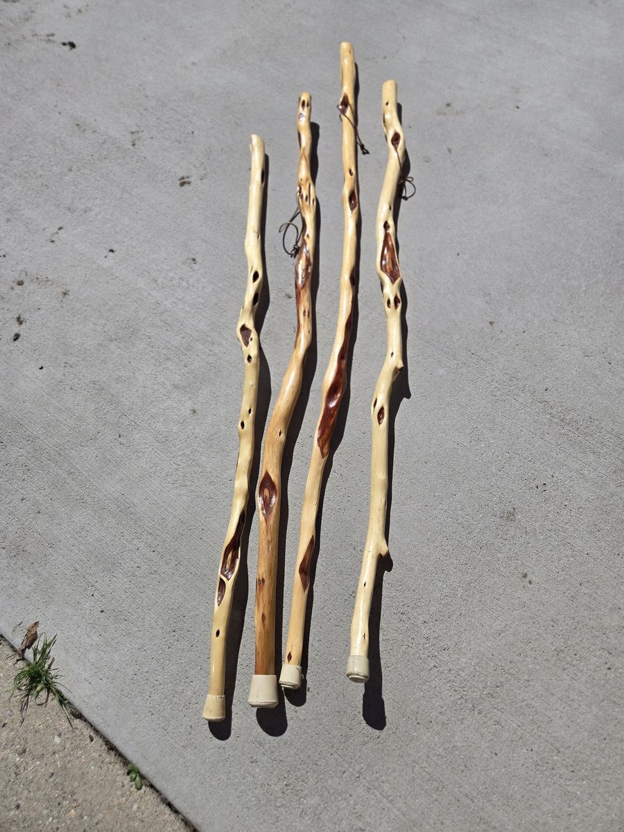 Walking sticks