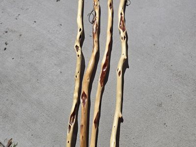 Walking sticks