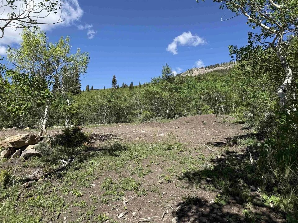 Main image 11