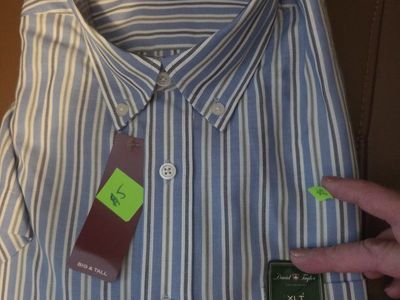 New David Taylor Men's XLT Wrinkle Resistant Short Sleeve Button-Down Shirt, Blue Striped
