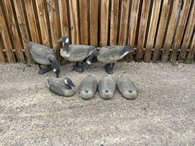 Goose Decoys Made In Italy
