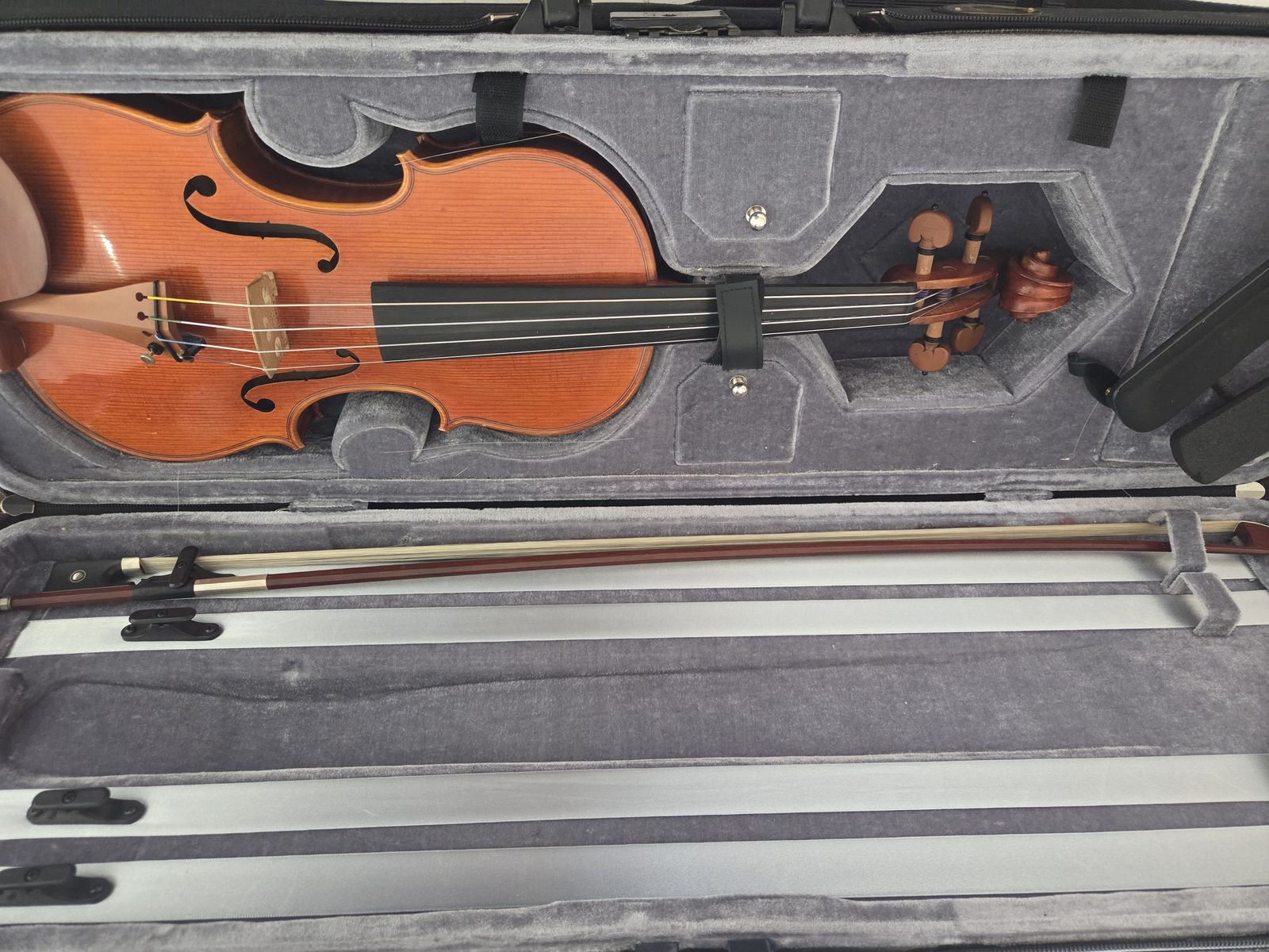 Violin