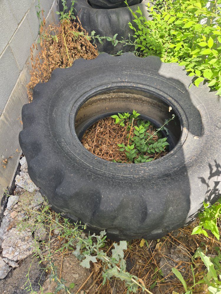Main image 2