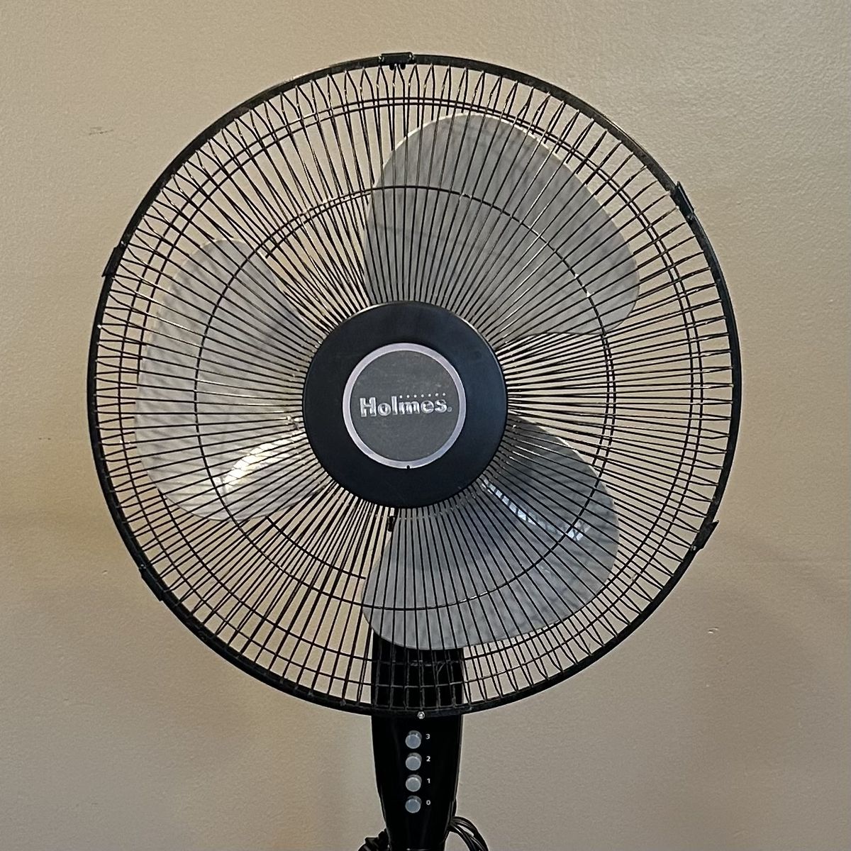 Holmes Oscillating Pedestal Fan