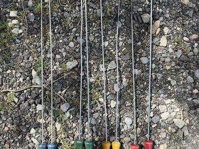 Set Of 6 Hot Dog Campfire Roasting Sticks