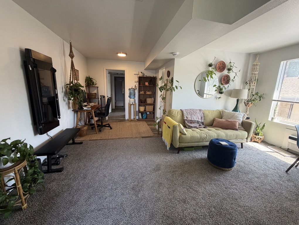 1 Bedroom & 1 Bathroom - Bright, Pet-Friendly