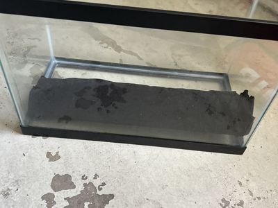 5 gallon fish tank with lid