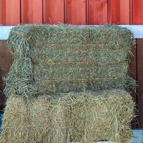 3 X 3 Alfalfa Hay Bales 