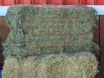 3 X 3 Alfalfa Hay Bales