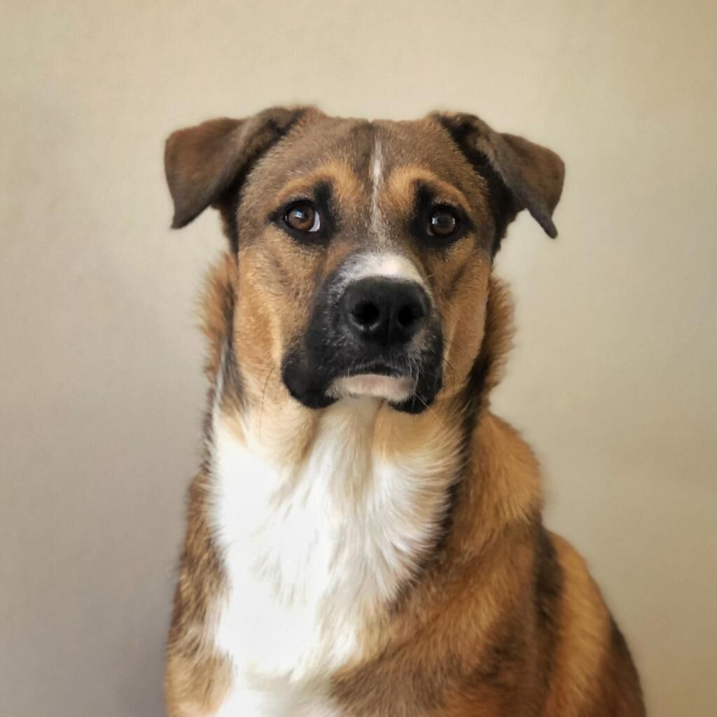 Hello my name is Mateo